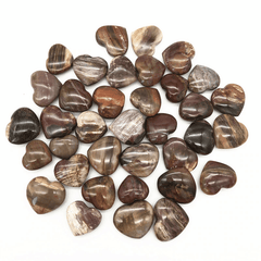 Coeur en Bois Fossilisé | Lithothérapie Stéphanie