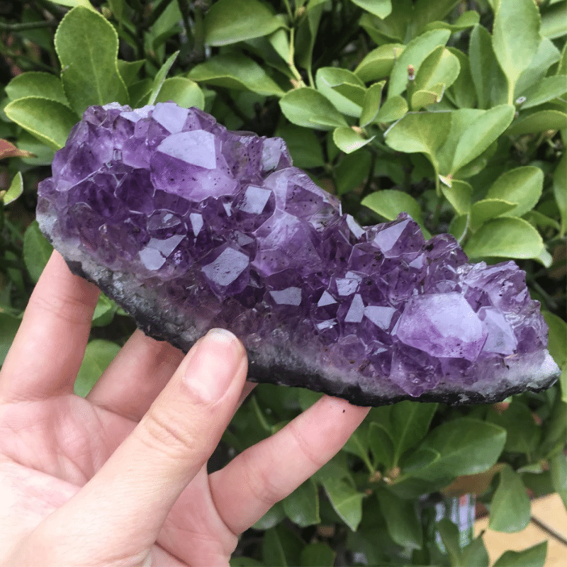 Druse d'Améthyste | Taille Moyenne | Lithothérapie Stéphanie