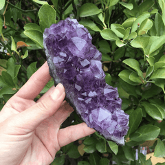 Druse Améthyste | Taille Moyenne | Lithothérapie Stéphanie