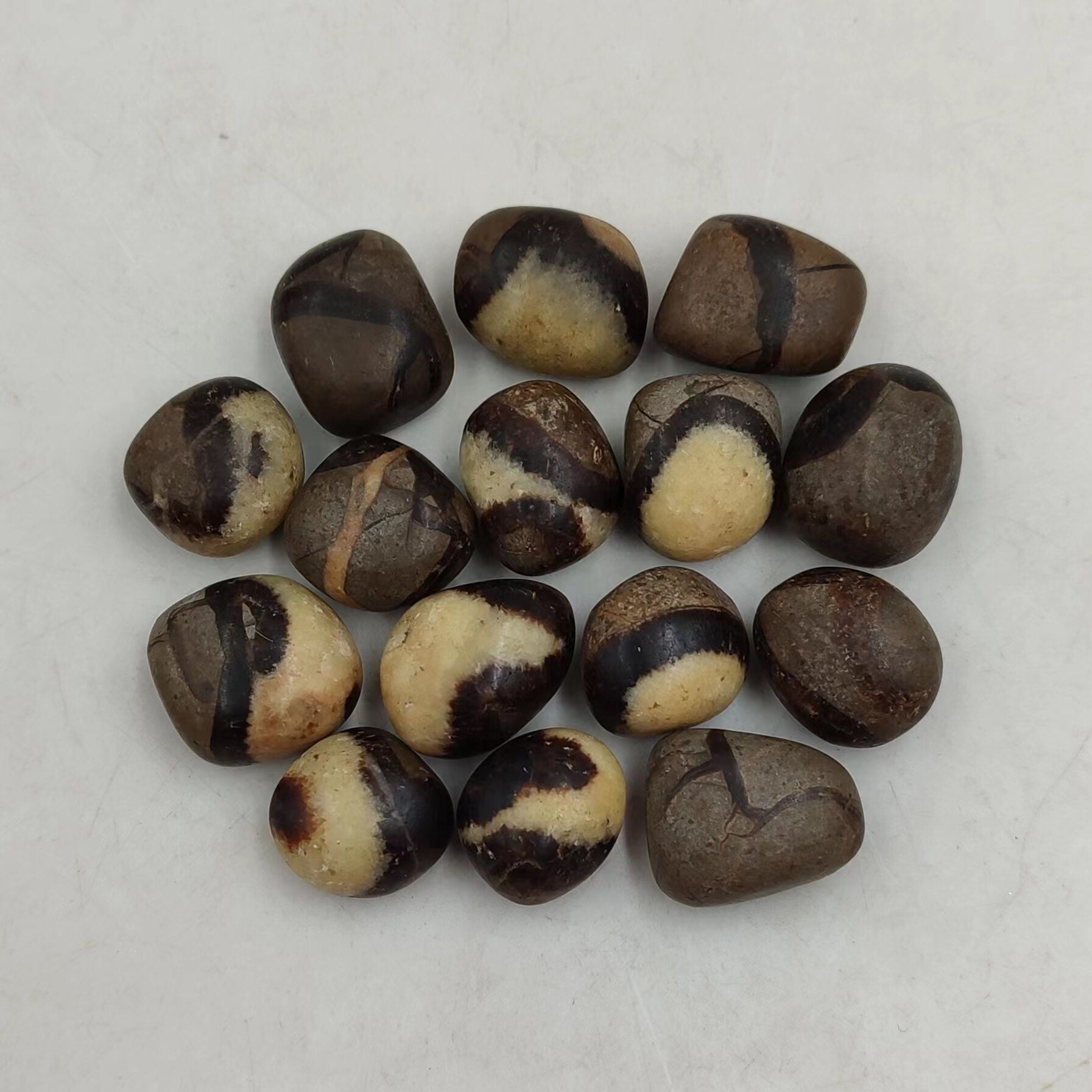 Pierre Roulée de Septaria | Lithothérapie Stéphanie