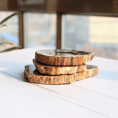 Tranche de Bois Fossilisé | Lithothérapie Stéphanie