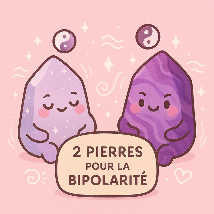 2 Pierres pour la Bipolarité