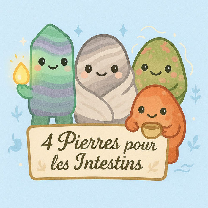 4 Pierres pour les Intestins