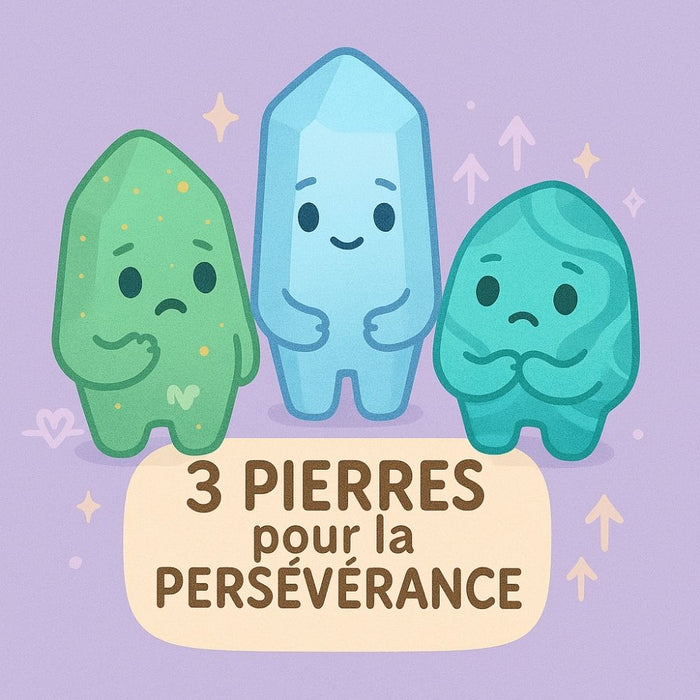 3 Pierres pour la Persévérance