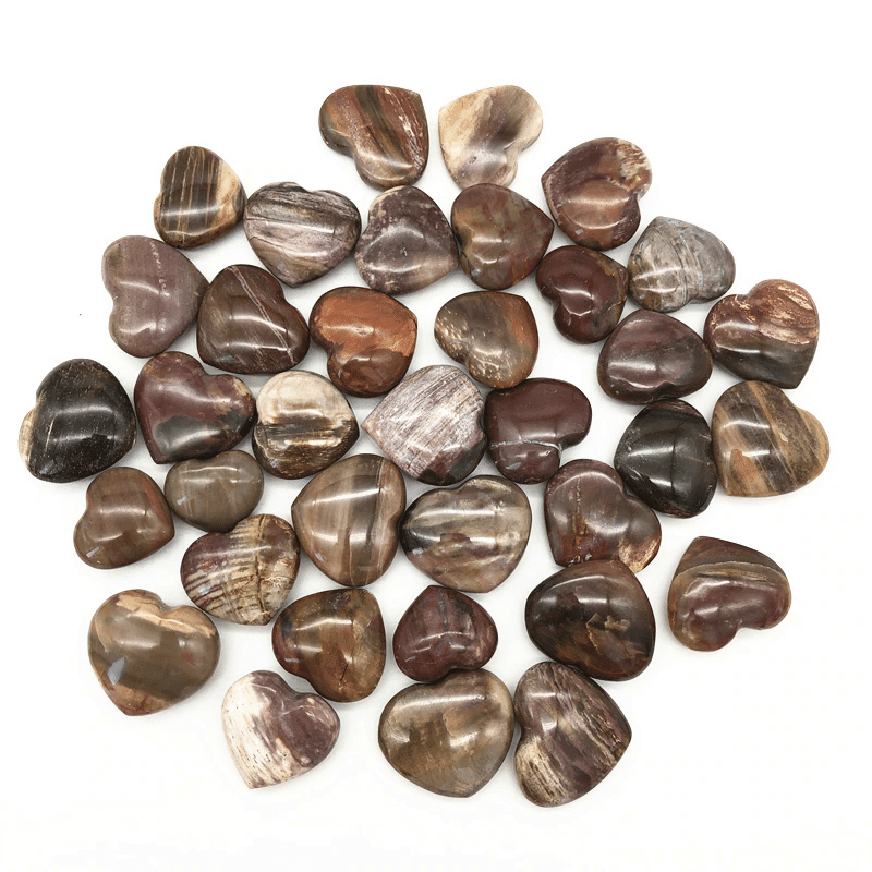 Coeur en Bois Fossilisé | Lithothérapie Stéphanie