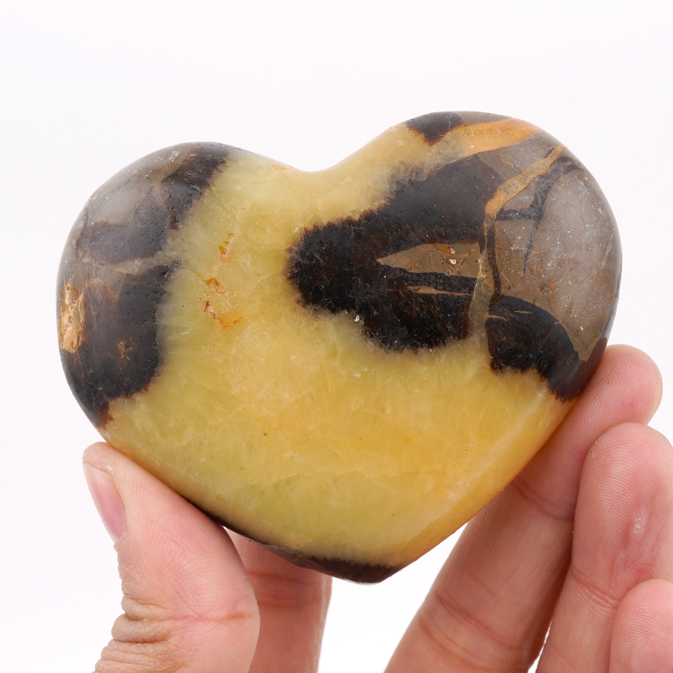 Coeur en Septaria Naturelle | Lithothérapie Stéphanie