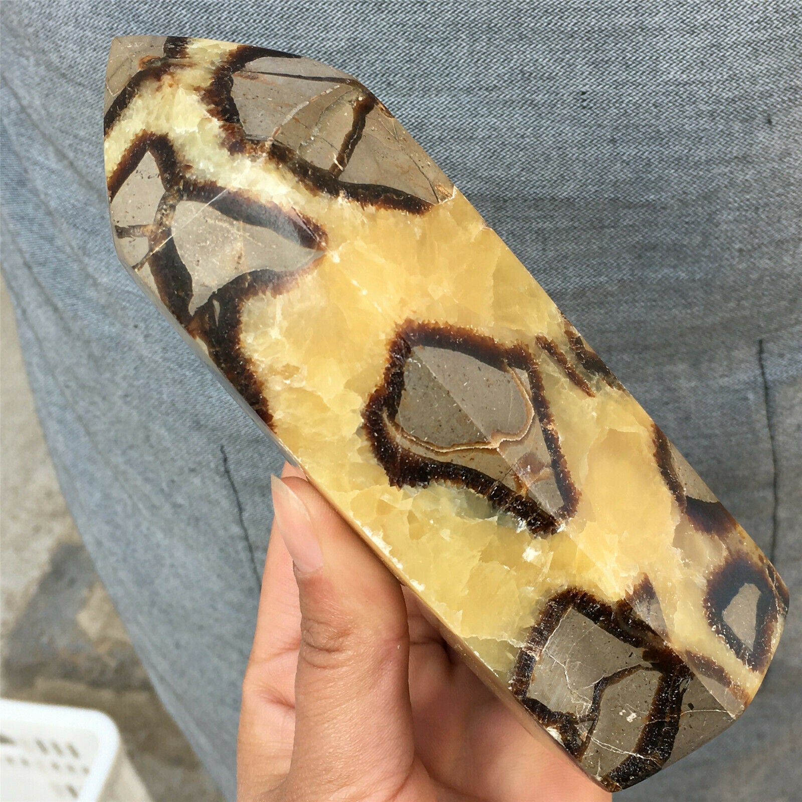 Pointe de Septaria | Lithothérapie Stéphanie