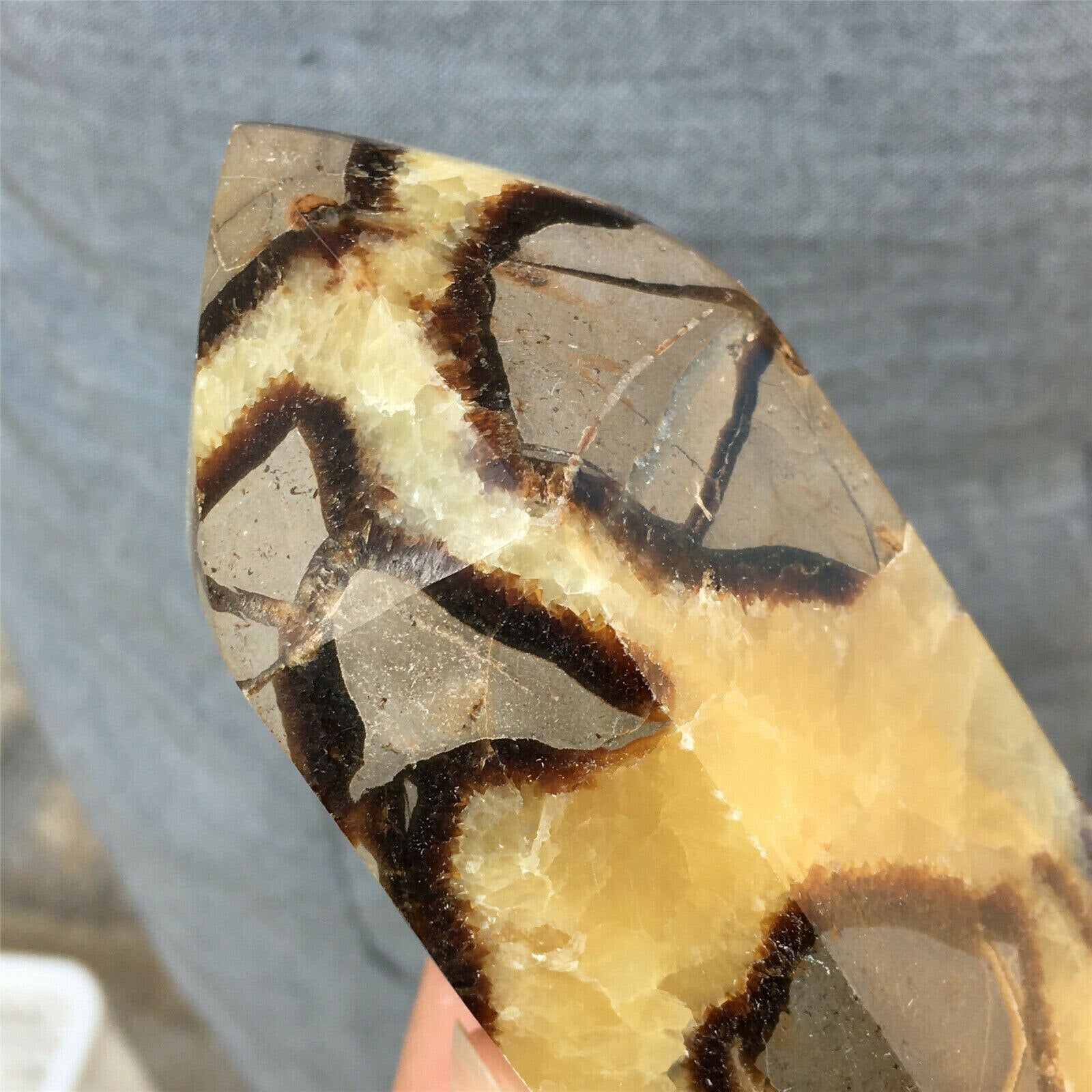 Baguette de Septaria | Lithothérapie Stéphanie