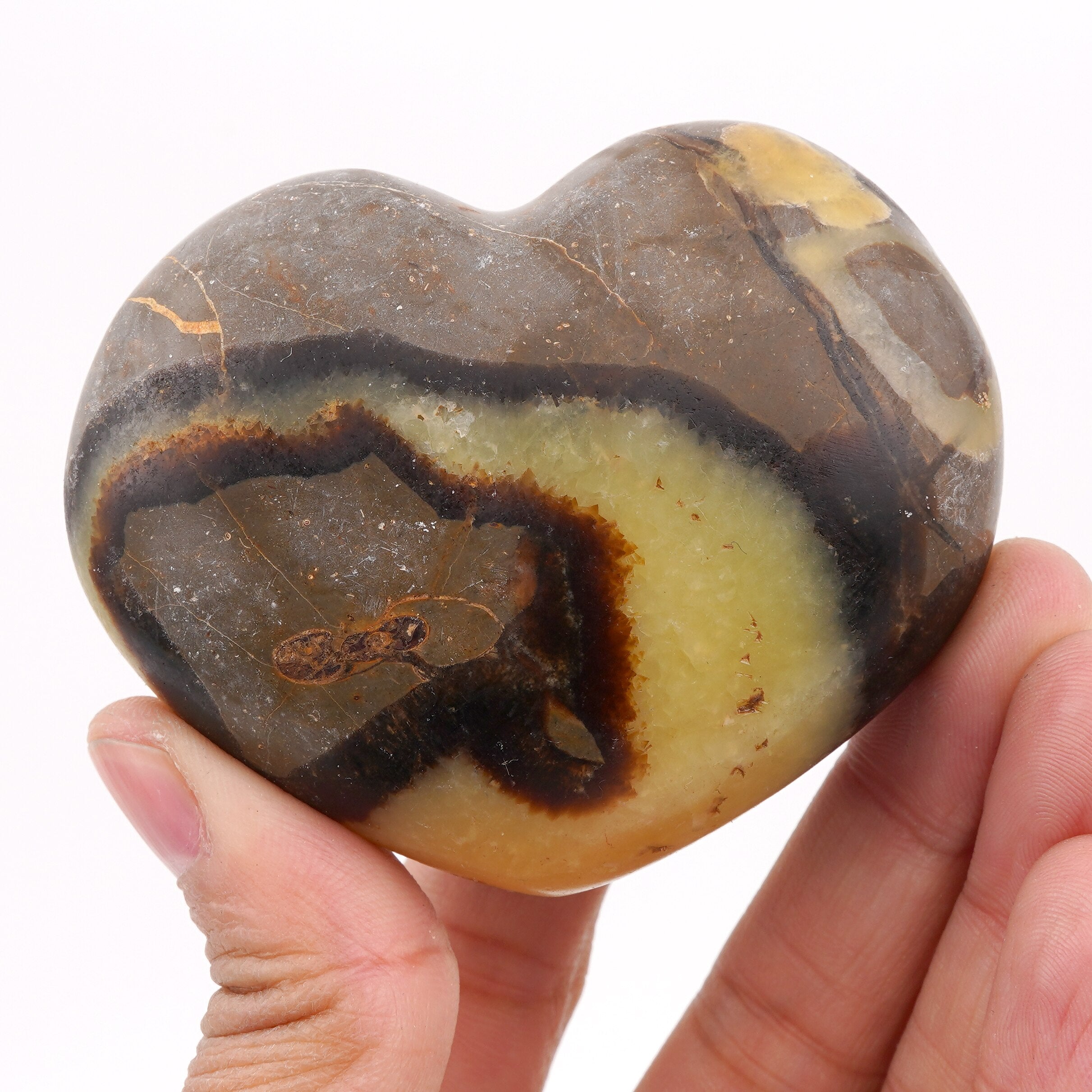 Grand Coeur en Septaria | Lithothérapie Stéphanie