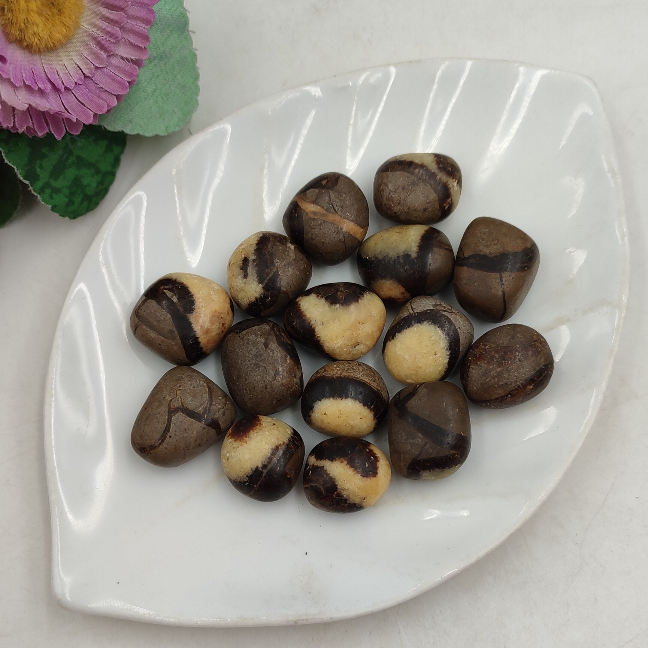 Pierre Roulée Septaria | Lithothérapie Stéphanie