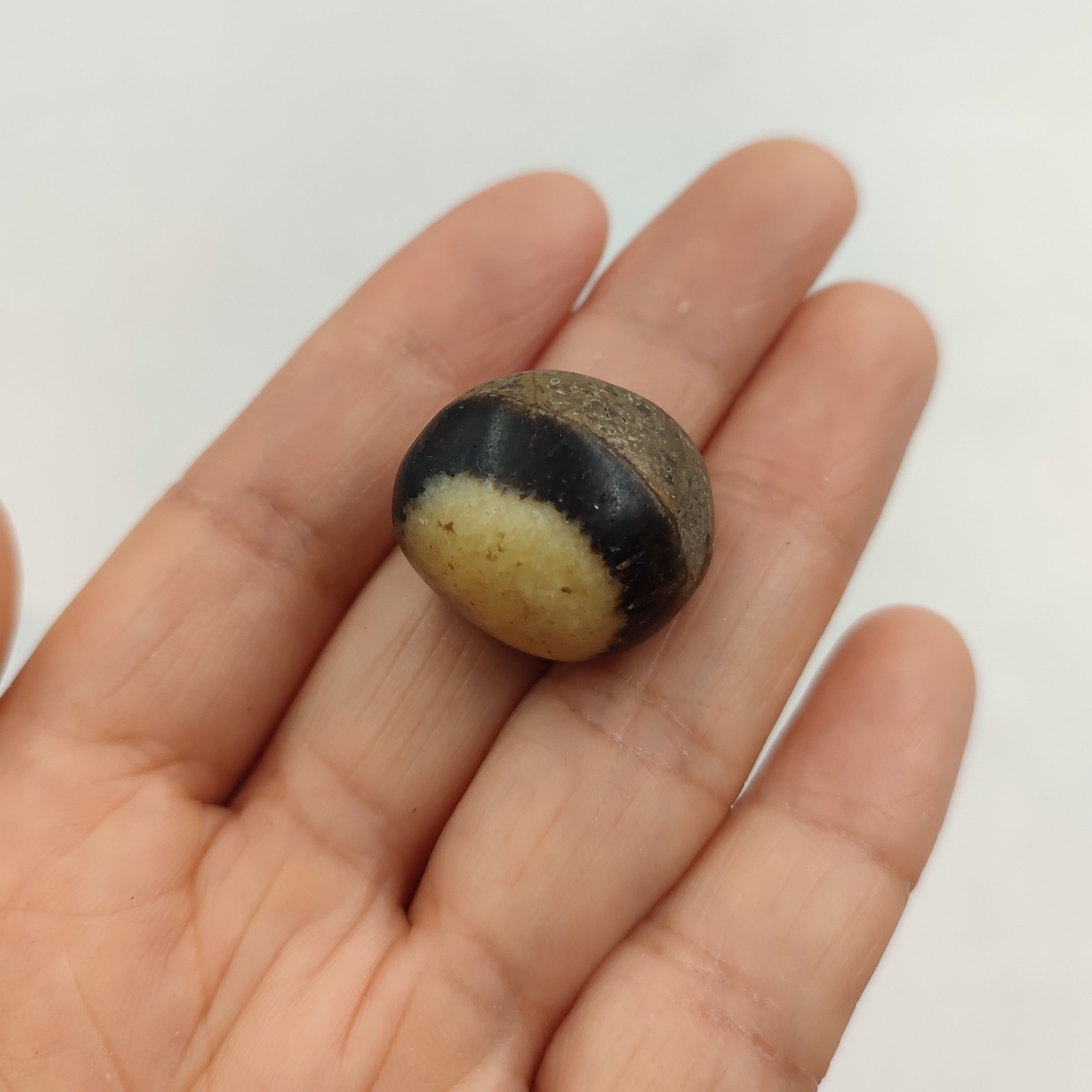 Pierre Roulée Septaria Naturelle | Lithothérapie Stéphanie