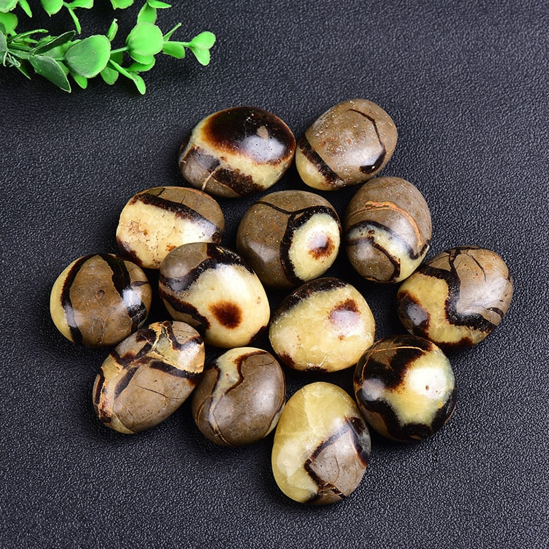 Galet en Septaria Naturelle | Lithothérapie Stéphanie