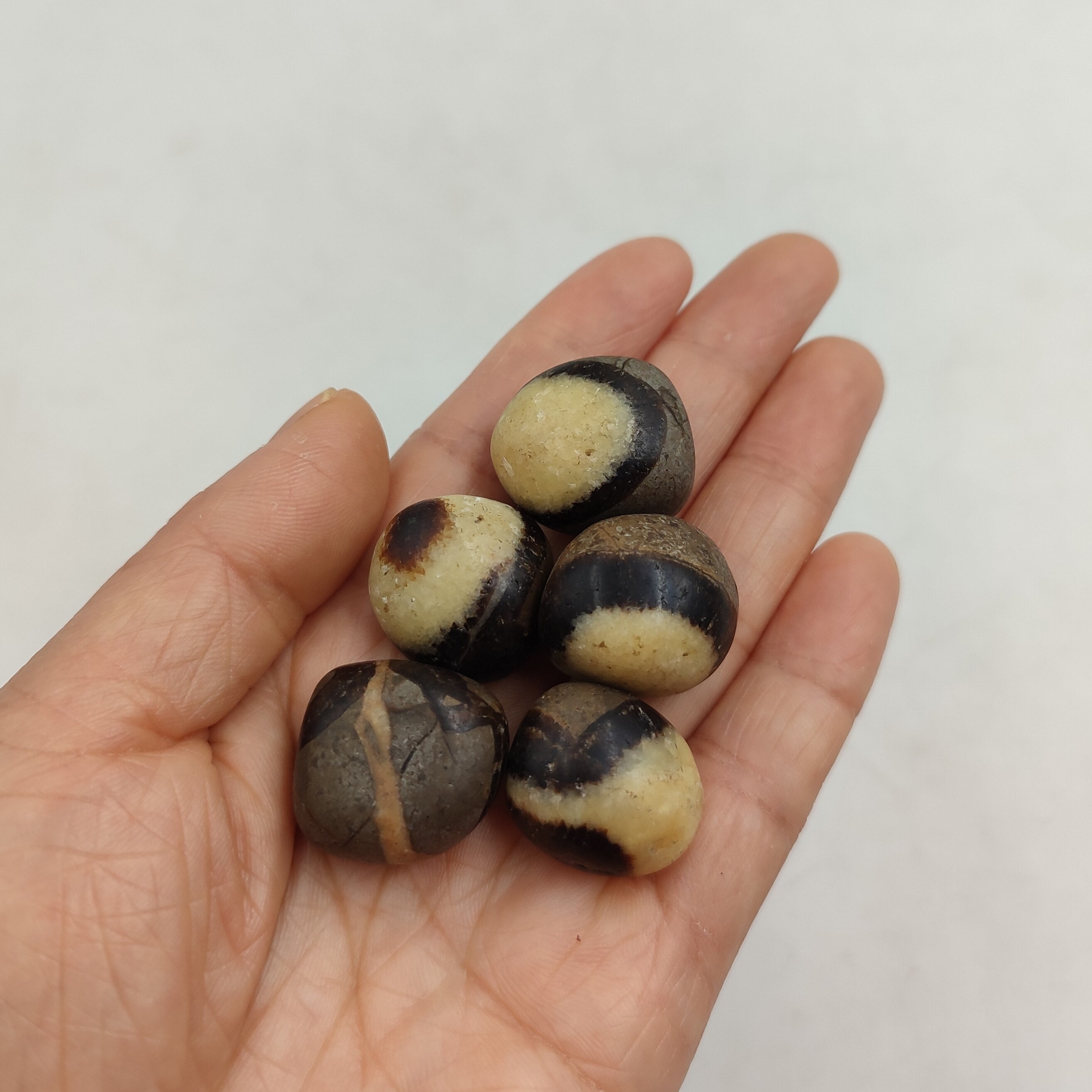 Septaria Roulée | Lithothérapie Stéphanie